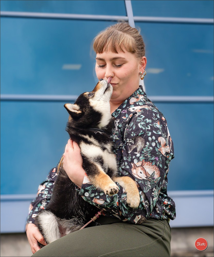 🇫🇷  Perpignan Dog Show  🇫🇷  Expo canine  17-18/01/2026. Photographe à Strasbourg | Portraits, Studio, Enfants, Événements