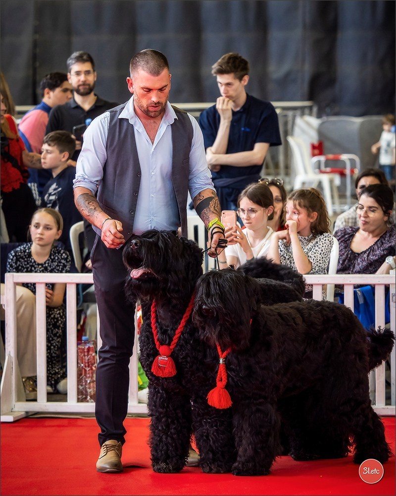 Expositions canines 14 avril 2024 Lyon. Photographe à Strasbourg | Portraits, Studio, Enfants, Événements