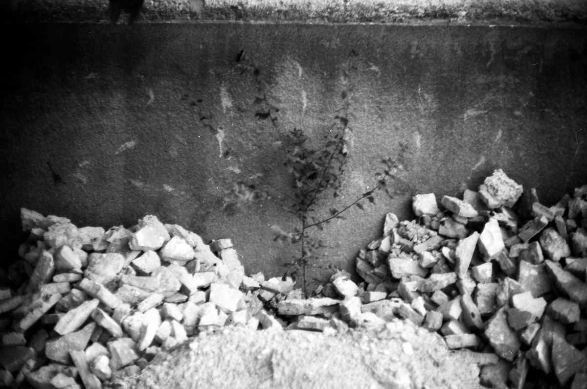 Garden of stones. Natalia Parfenova visual artist film photographer