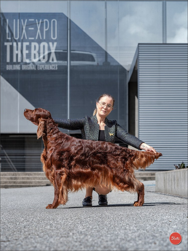 Photographie animalière. Photographe à Strasbourg | Portraits, Studio, Enfants, Événements