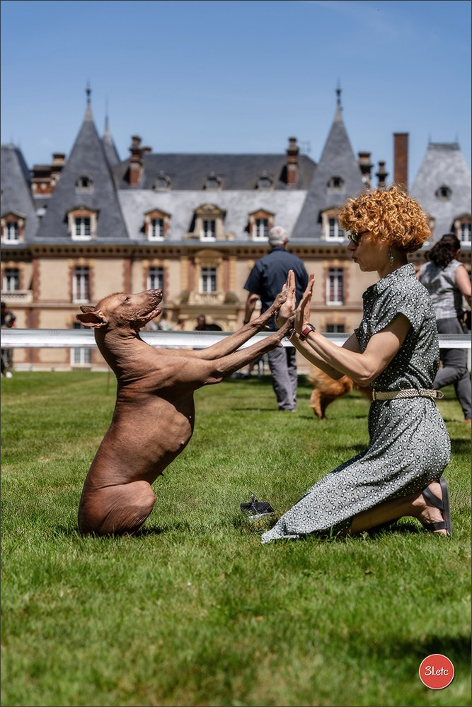 🇫🇷  CHARTRES  🇫🇷  2026  🇫🇷  Exposition Canine Nationale - Château des Boulard