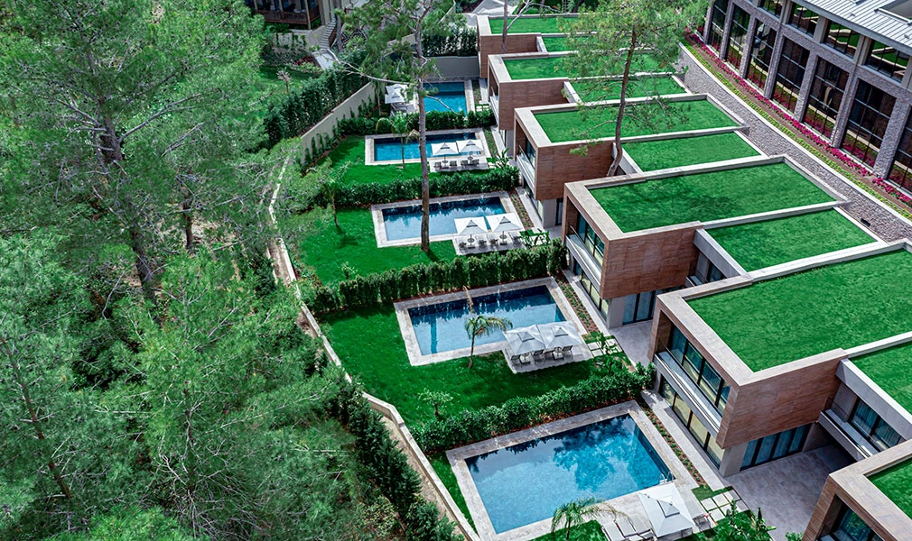 NG PHASELIS BAY. Lero Photographer and a set designer|individual custom portrait and advertising photography in Zutphen