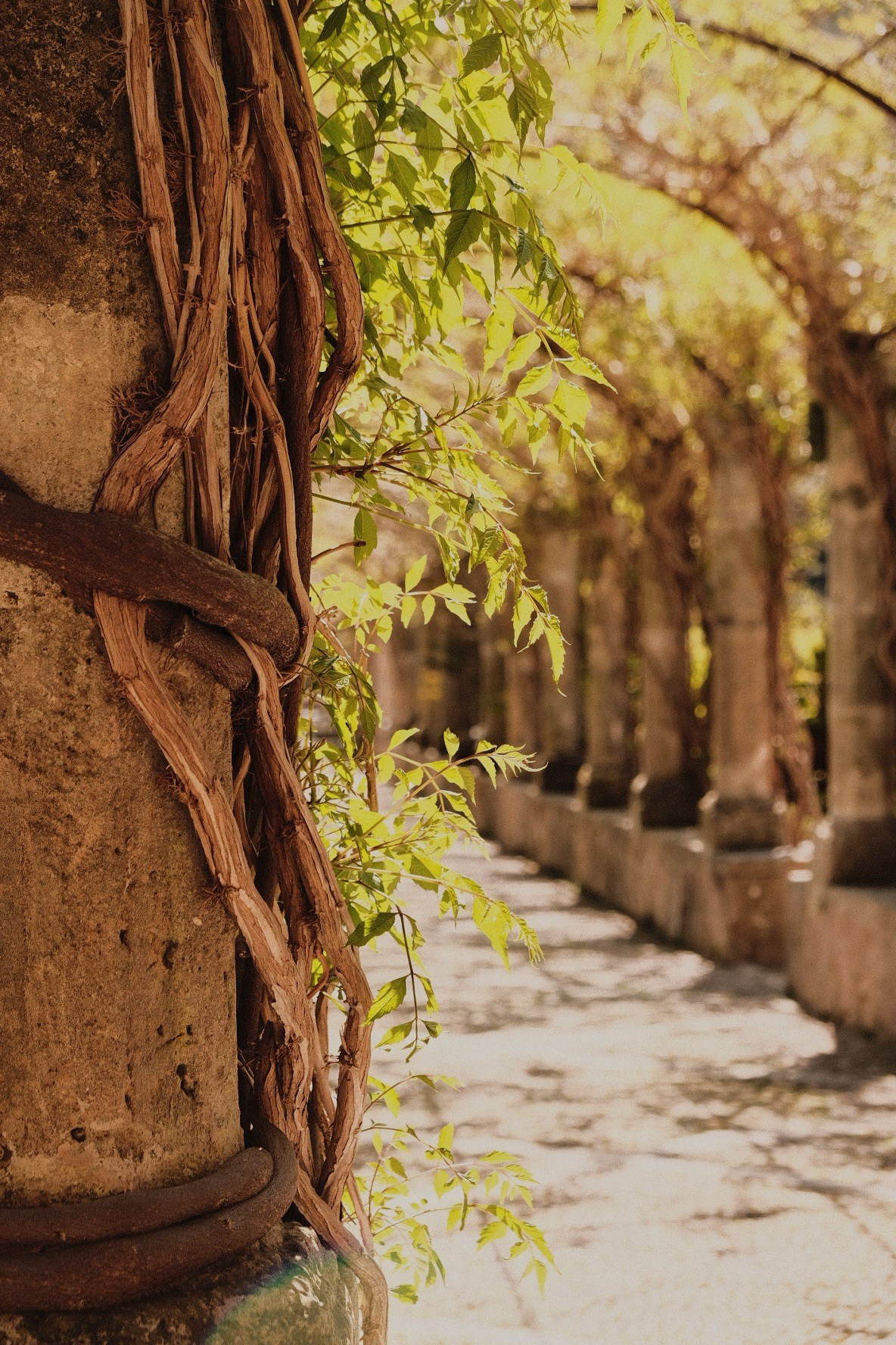 Kontakt. Sasha Silver Photography