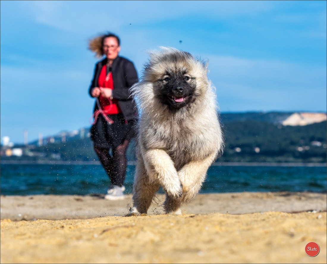 Expo canine 🇫🇷 Martigues  19-20/04/2025. Photographe à Strasbourg | Portraits, Studio, Enfants, Événements