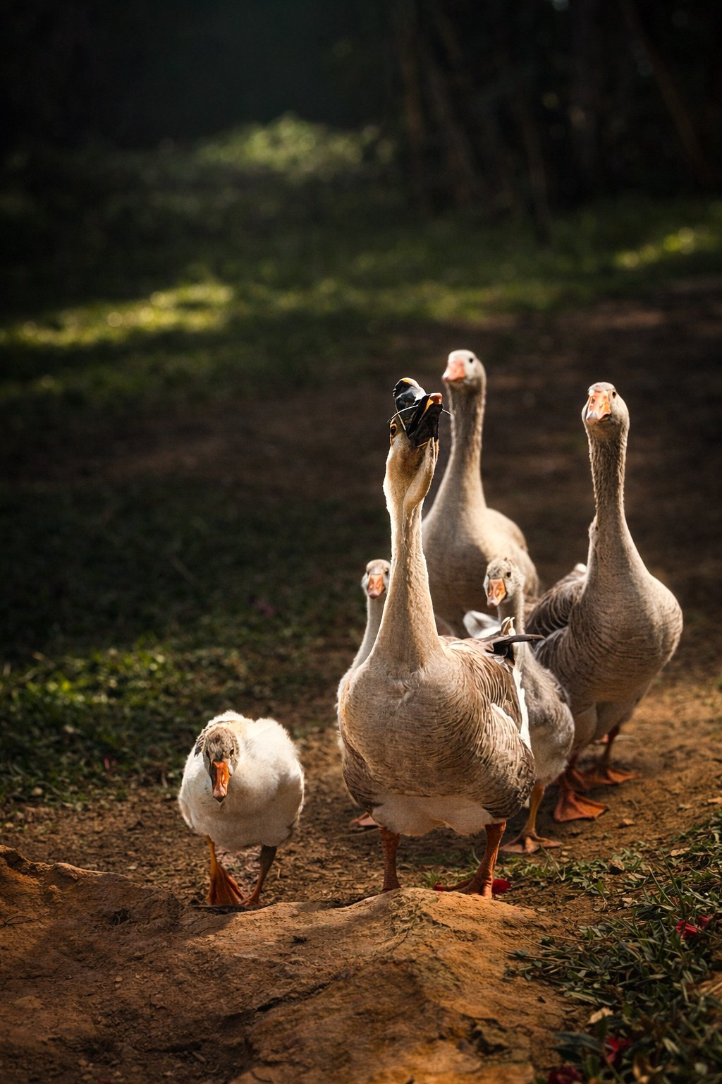 Retratos. Lucyfera Studio