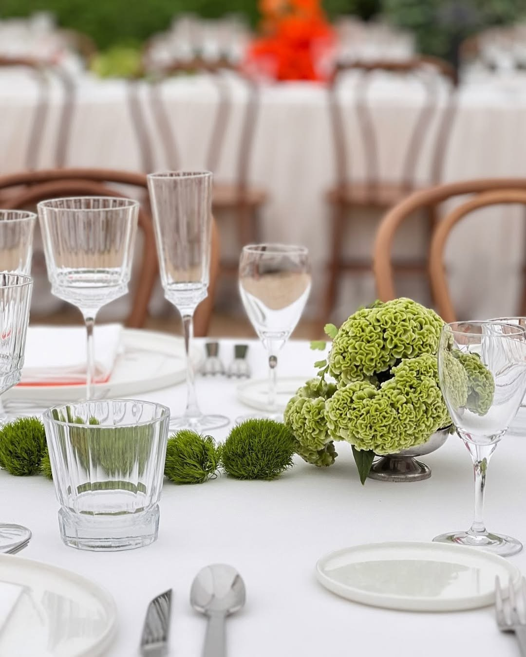 Flower installations in Santa Clotilde, Girona