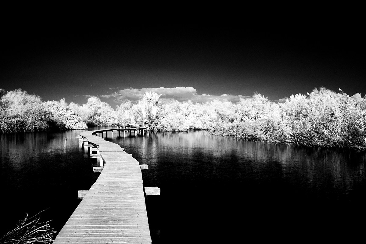 Отпечатки света. Фотограф в Израиле Максим Саяпин