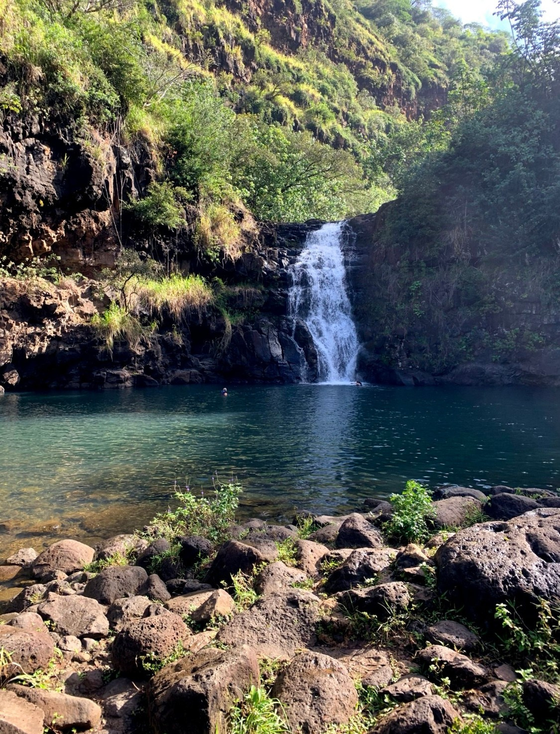 Lens Work From The Field 7