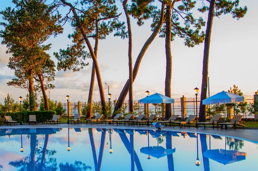 Georgia Palace Hotel & SPA. Главная