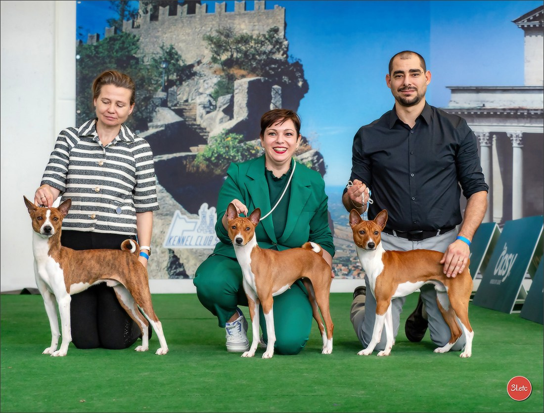 Dog Show  🇮🇹  San Marino. Photographe à Strasbourg | Portraits, Studio, Enfants, Événements
