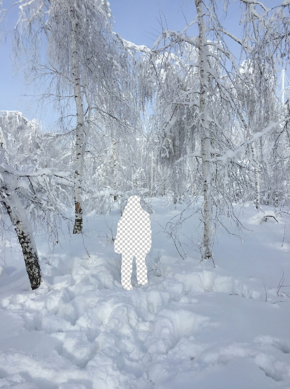 Inna Mosina, Visual Artist