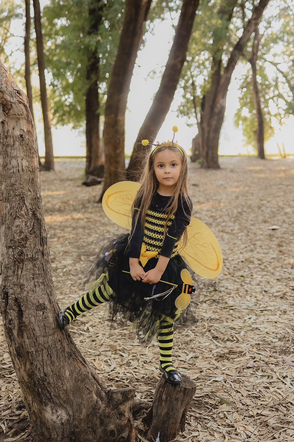 צילומי פורים בטבע. דף בית