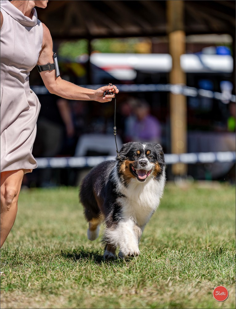 Dog Show - Hallbergmoos 🇩🇪 11-12/07/2026