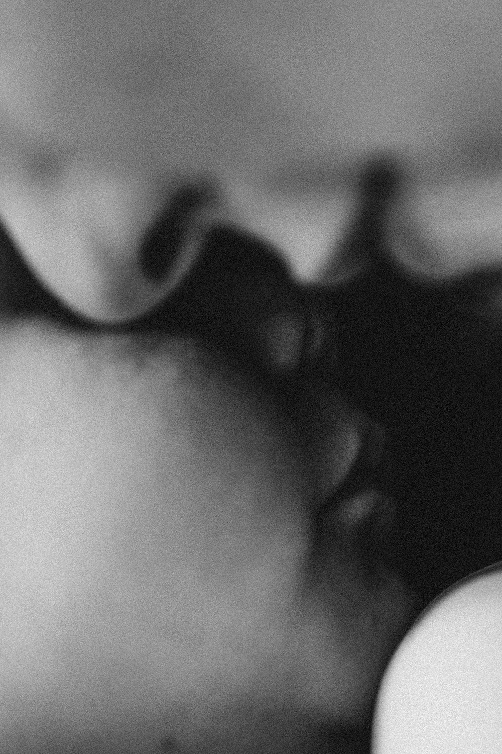 Ivana, Miroslav, Nadica i Milutin — porodicno fotografisanje. Deciji i porodicni fotograf u Beogradu Oksana Skendzic
