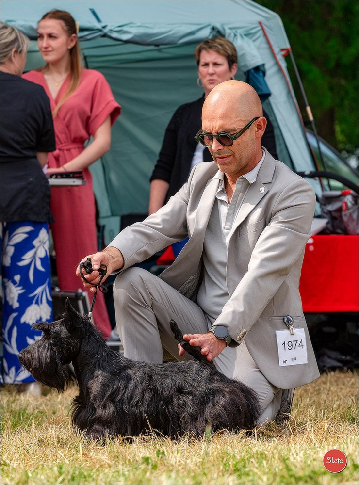 Photographie animalière. Photographe à Strasbourg | Portraits, Studio, Enfants, Événements