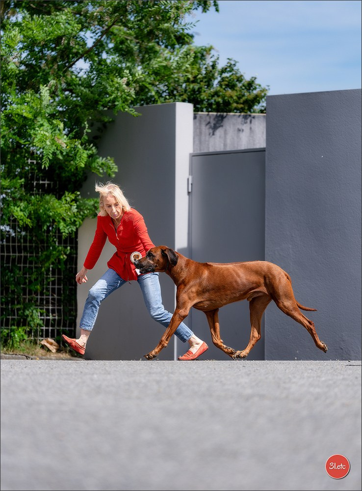 Expo canine 🇫🇷 Valence 02-03/05/2026