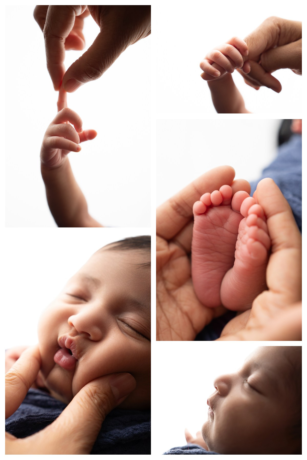 Posed Newborn. Maternity, family and newborn photography in San Francisco Bay Area