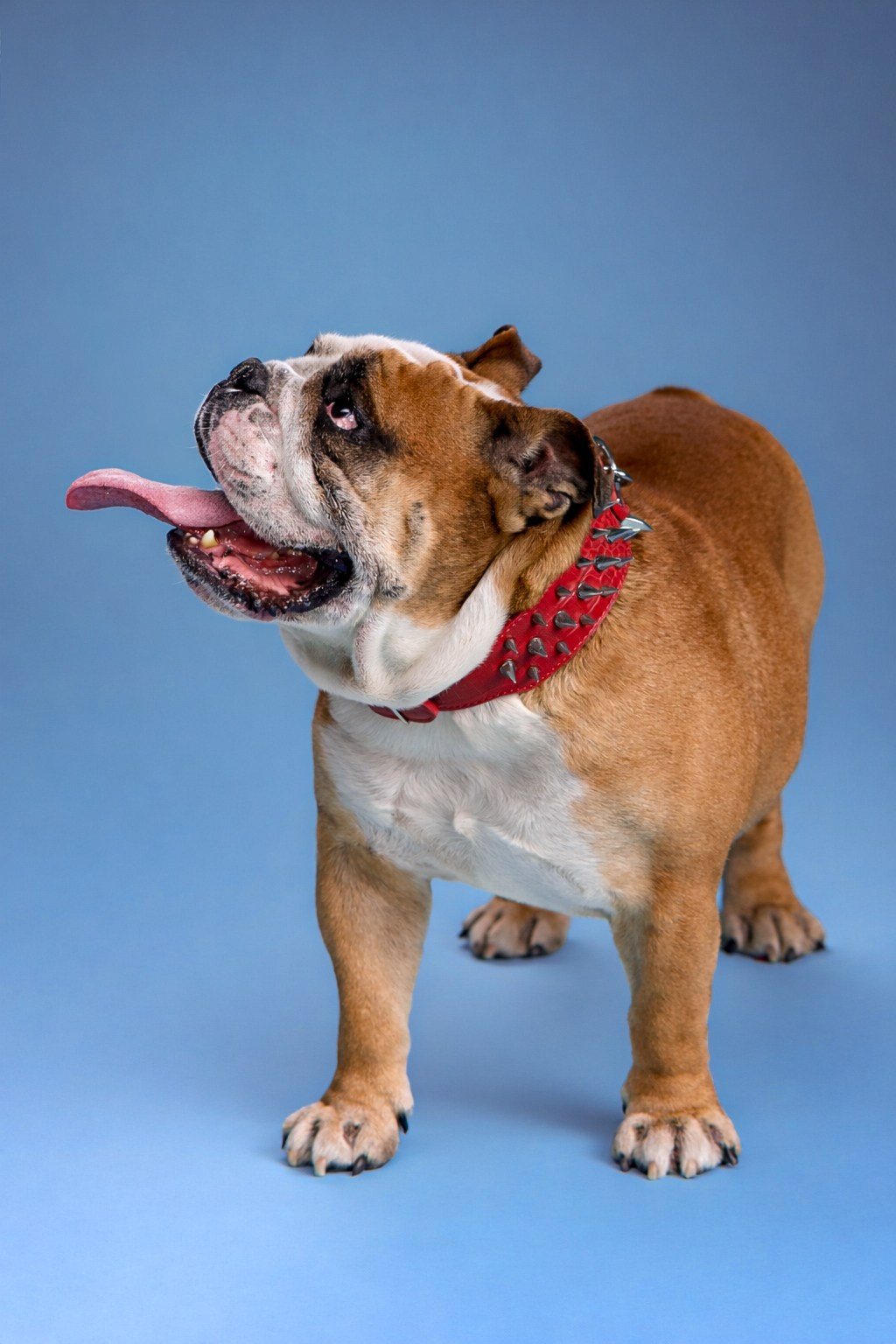 Marina, Fotograf aus Nürnberg