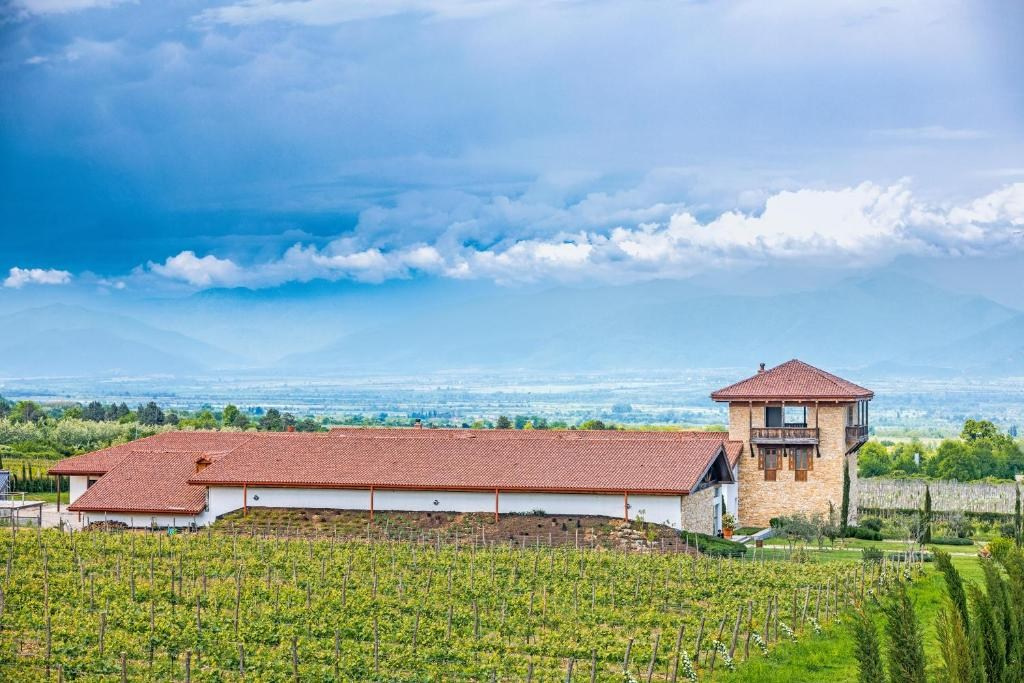 Château Mosmieri Hotel & Winery. Главная