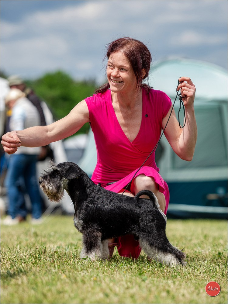 Dog Show Rieden 🇩🇪 16-18/05/2025. Photographe à Strasbourg | Portraits, Studio, Enfants, Événements