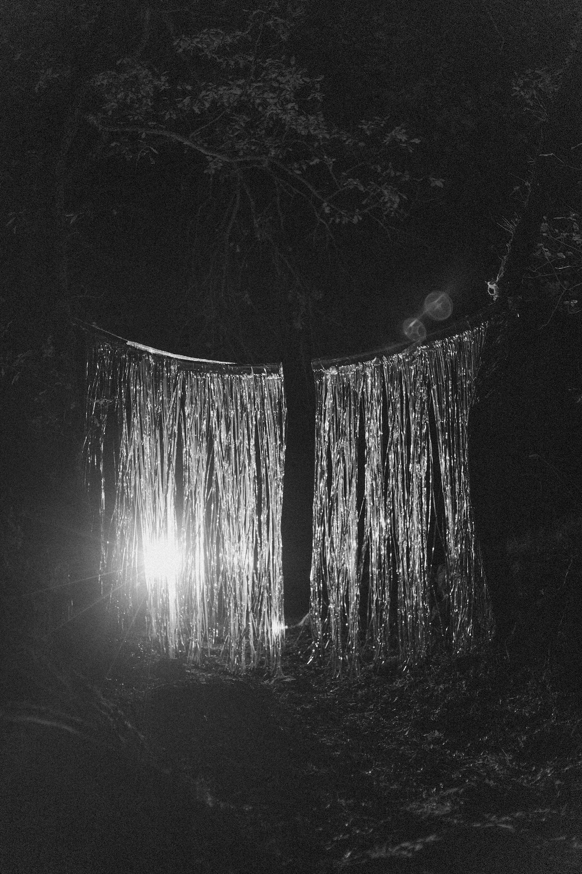 Svetlana (2025-ongoing). Anna Guseva | Visual artist