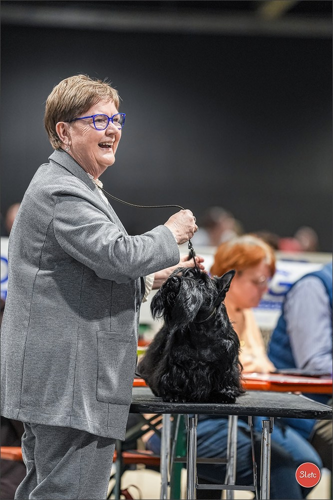 🇱🇺 LUXEMBOURG 🇱🇺 International Dog Show 4-5/04/2026. Photographe à Strasbourg | Portraits, Studio, Enfants, Événements