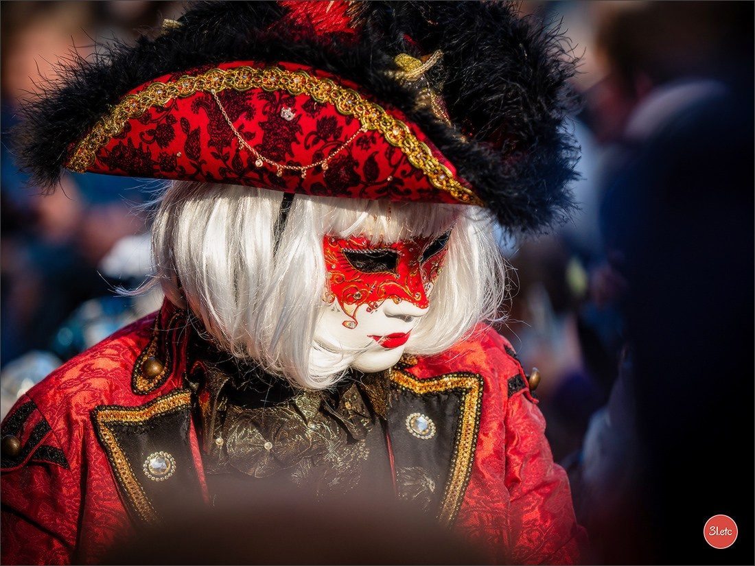 Carnaval vénitien de Rosheim 2026. Photographe à Strasbourg | Portraits, Studio, Enfants, Événements