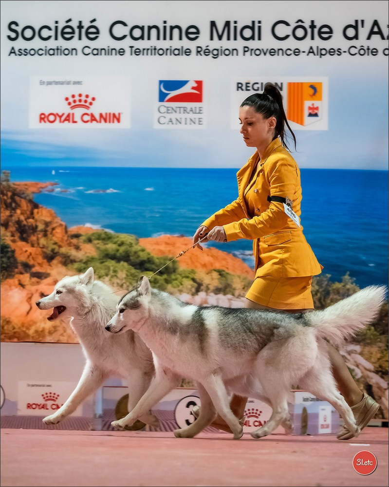 Photographie animalière. Photographe à Strasbourg | Portraits, Studio, Enfants, Événements