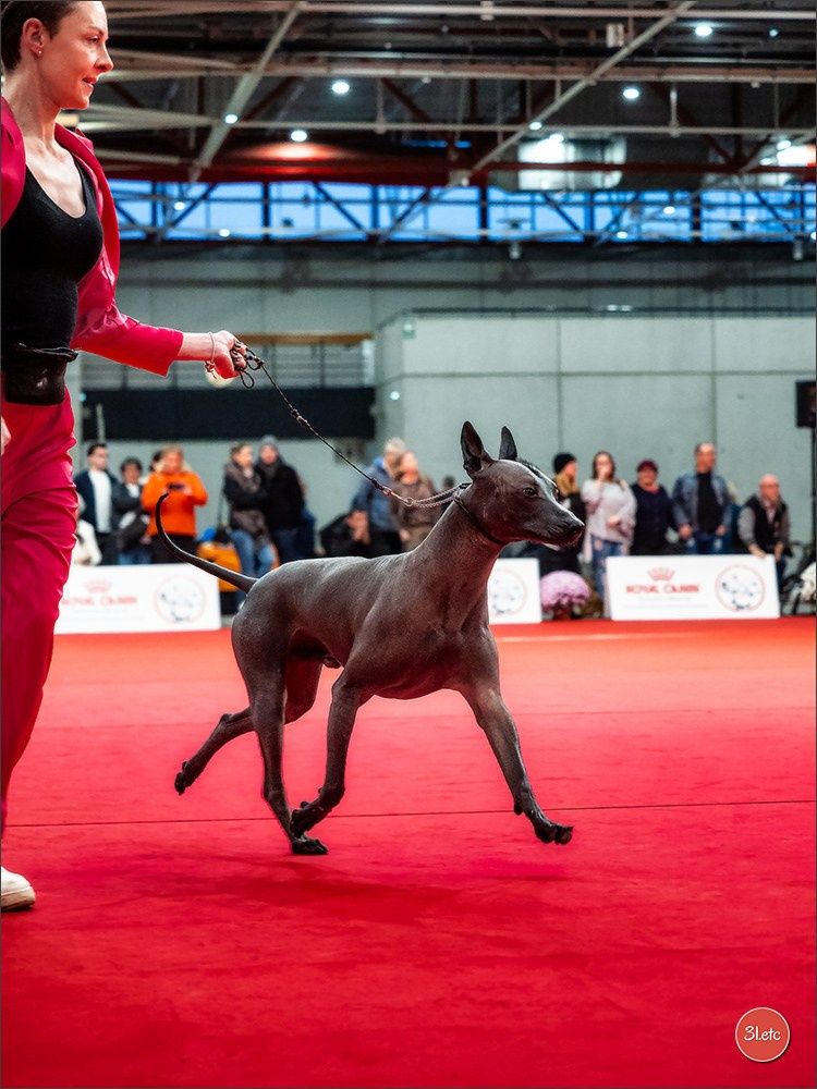 Photographie animalière. Photographe à Strasbourg | Portraits, Studio, Enfants, Événements