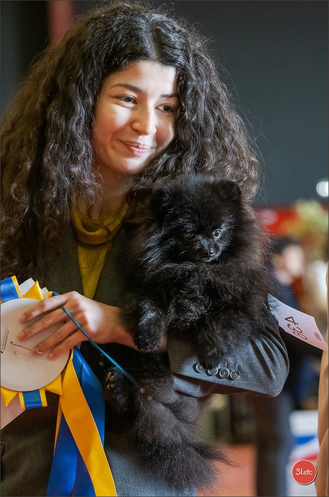 Expo canine 🇫🇷 MARGNY LES COMPIEGNE 06-07/09/2025. Photographe à Strasbourg | Portraits, Studio, Enfants, Événements