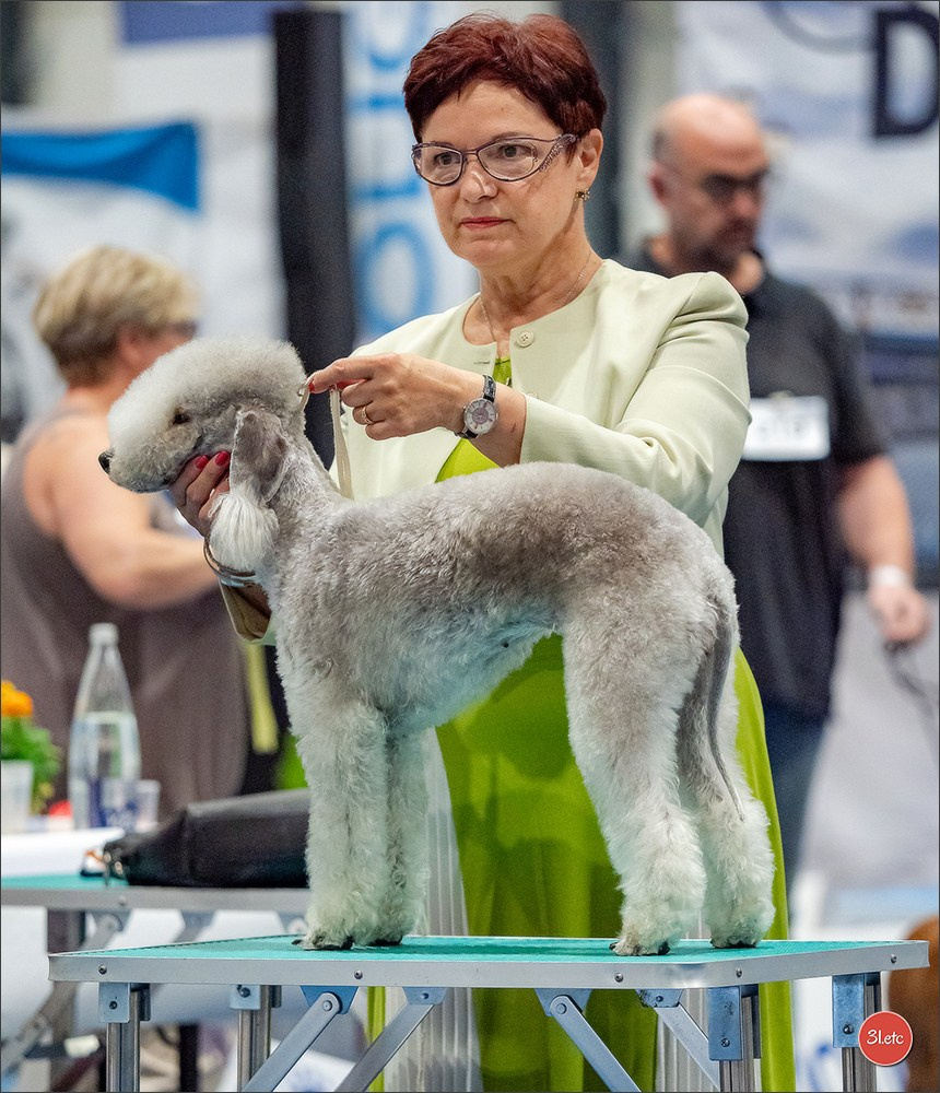 Dog Show Liege 🇧🇪 19-29/07/2025. Photographe à Strasbourg | Portraits, Studio, Enfants, Événements