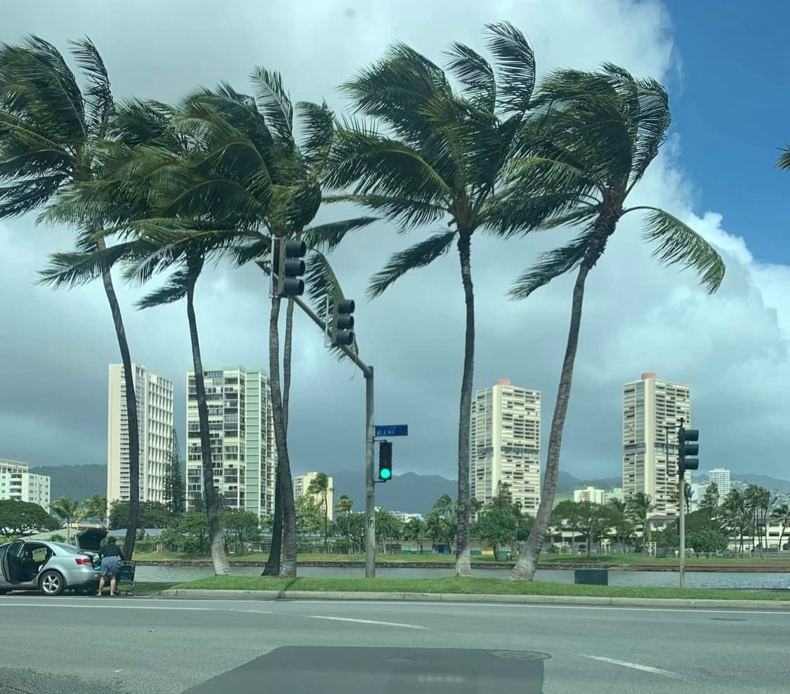 Lens Work From Field  1