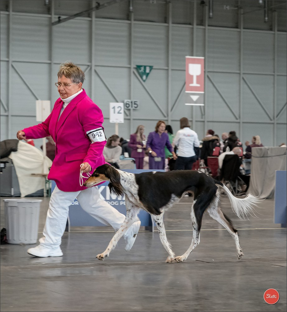 🇨🇭 Geneva 03-05.10.2025 🇨🇭. Photographe à Strasbourg | Portraits, Studio, Enfants, Événements