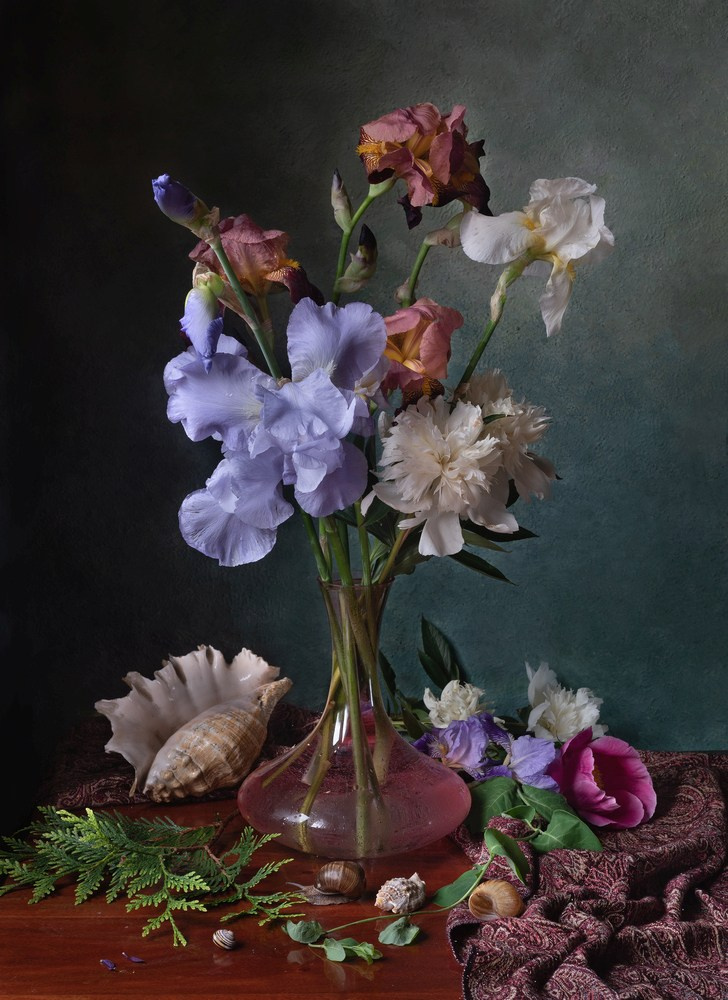 Натюрморт с ирисами, пионами и ракушками