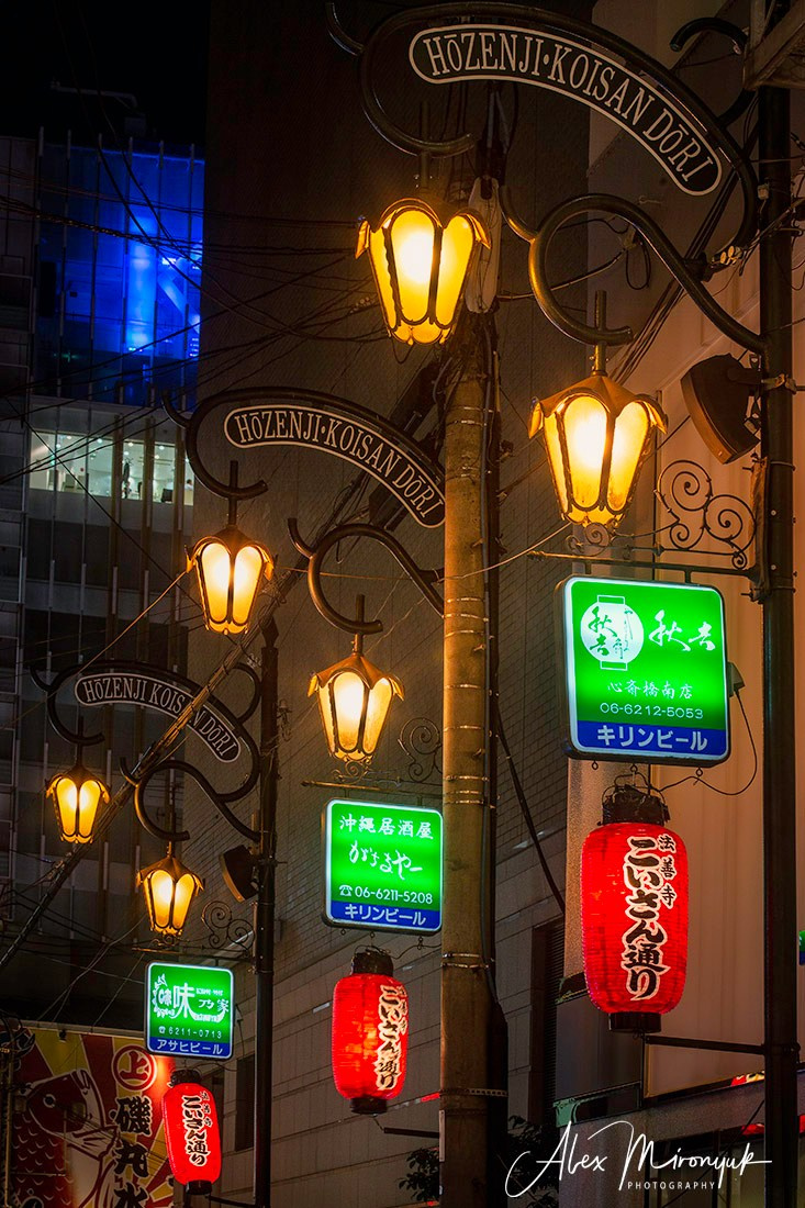 Hanami Season in Japan. Pet, Senior, Landscape, portrait studio, photographer in Miami and Sou