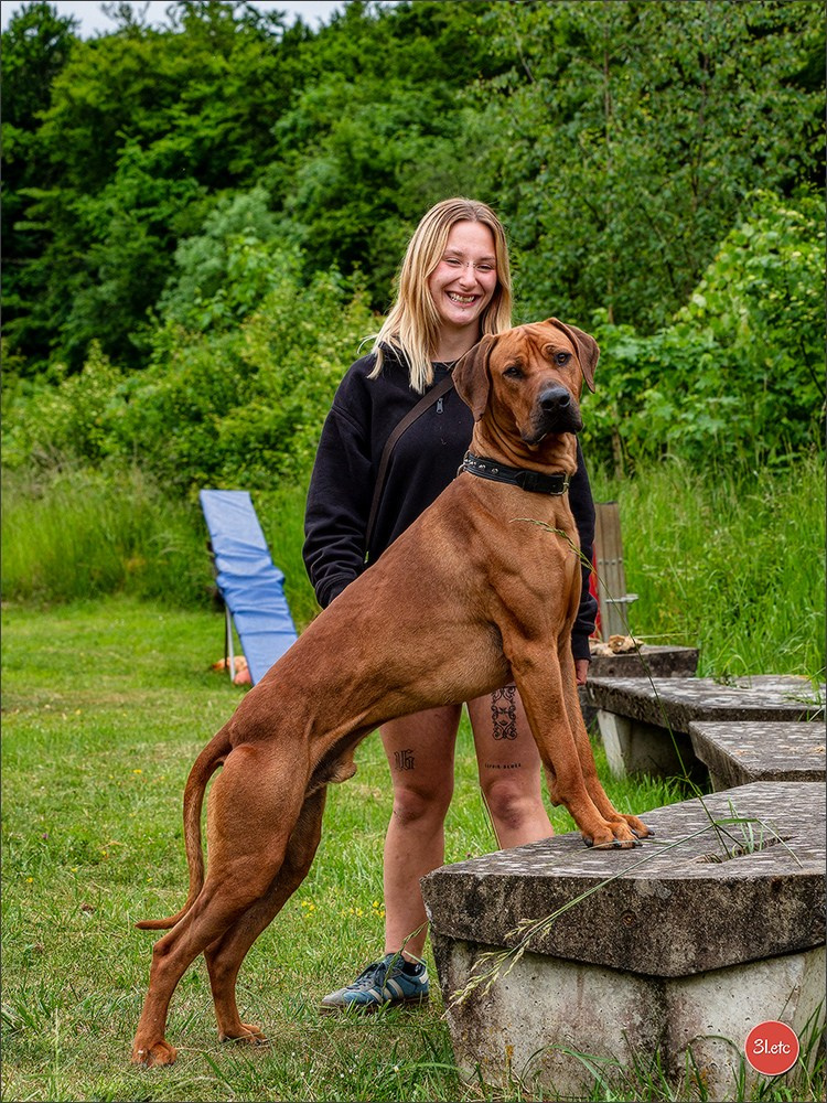 R.E. Rhodesian Ridgeback - Belleau (54) Expo canine Nancy  🇫🇷  24/05/2025. Photographe à Strasbourg | Portraits, Studio, Enfants, Événements