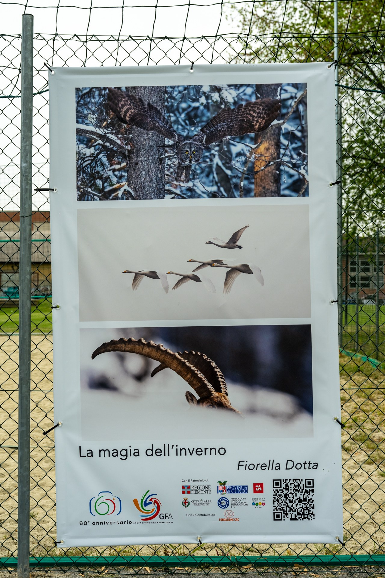 60° anniversario Gruppo Fotografico Albese. “Gianmaria Coscia fotografo per passione”