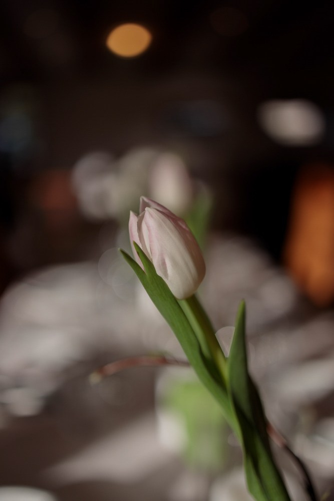 Lea&Ursin Trauung in der Schweiz. VISUAL ARTIST