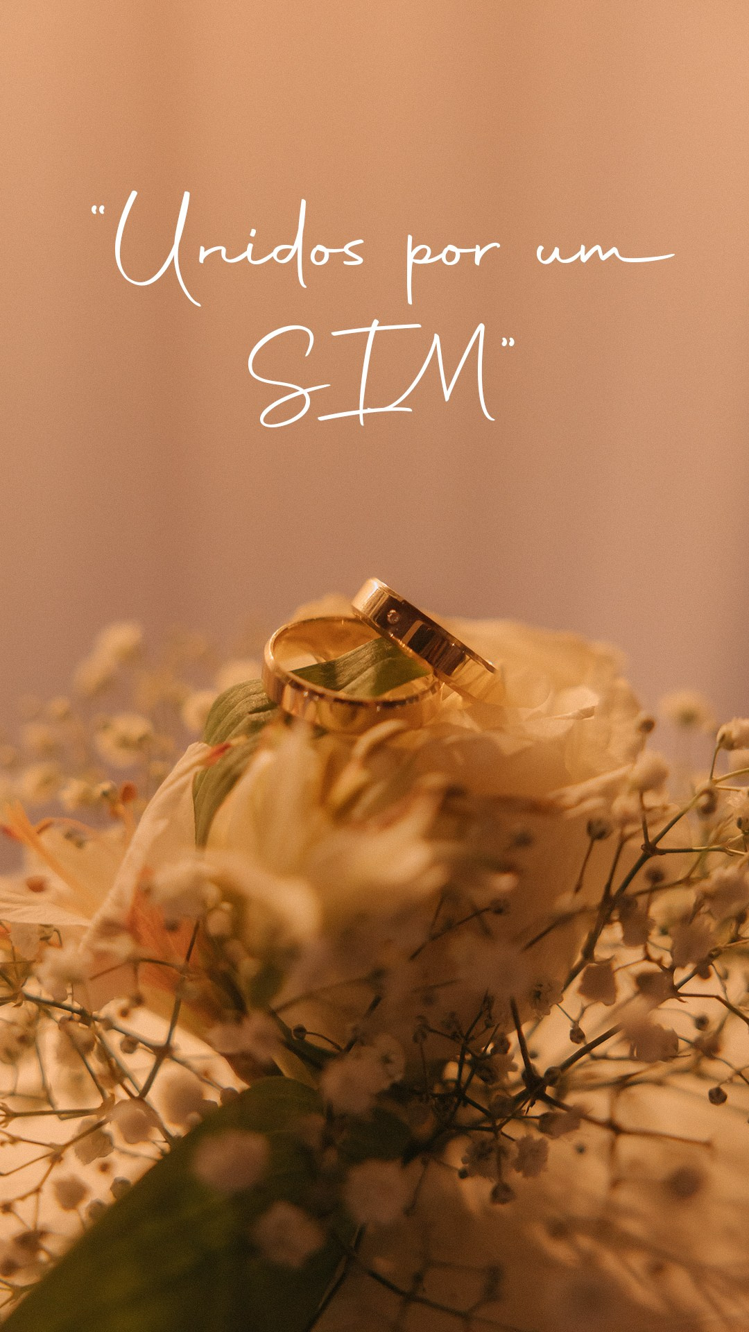 Casamento Civil em Itumbiara GO | Bruna & Cristhian