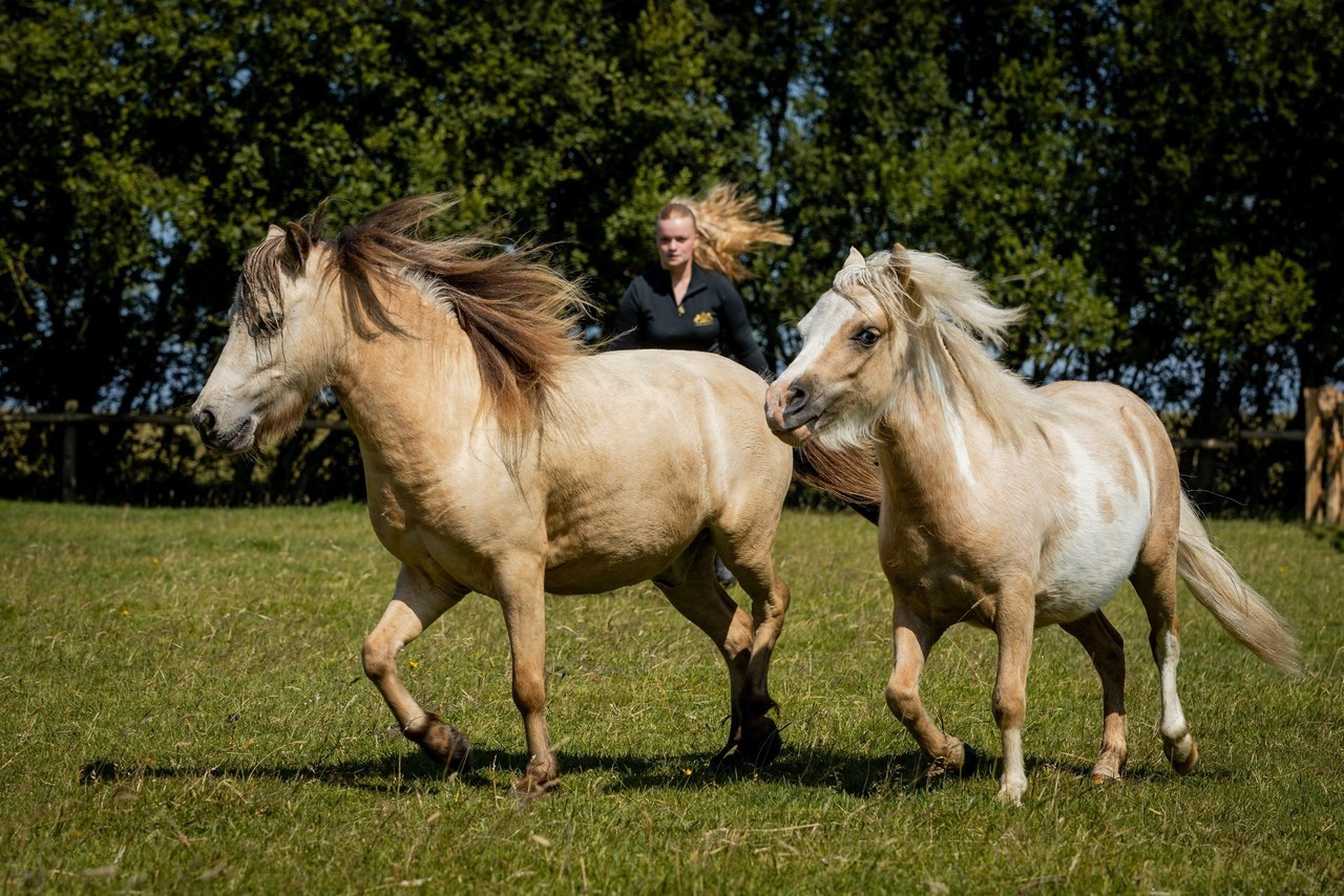 Фотограф в Германии - Михаил Баранов. Фотограф в Германии — Михаэль Барон
