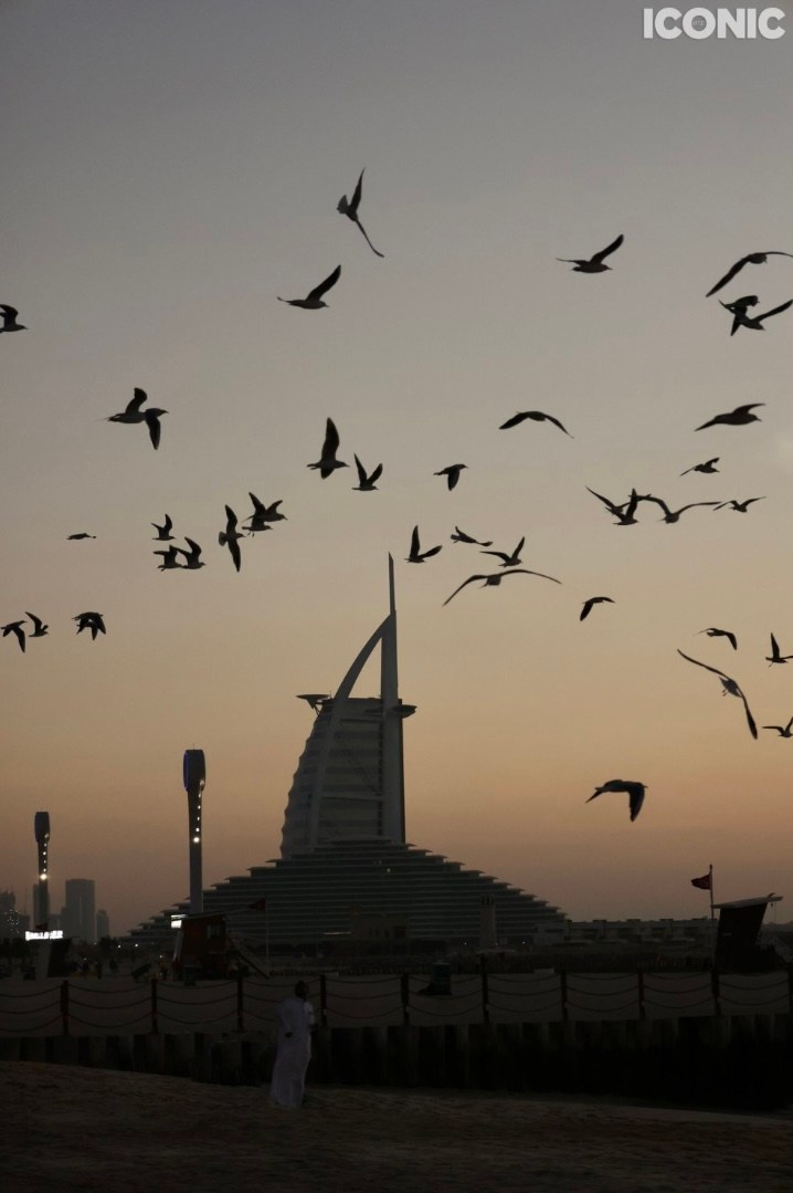 Publications Iconic-Dehazed. Couples and portraits photographer Wimbledon London