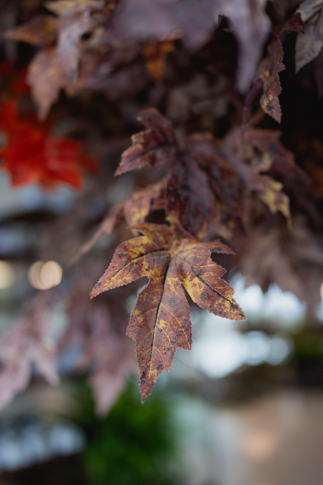Juliana e Felipe. Fabio Barth | Foto e Filme de casamento