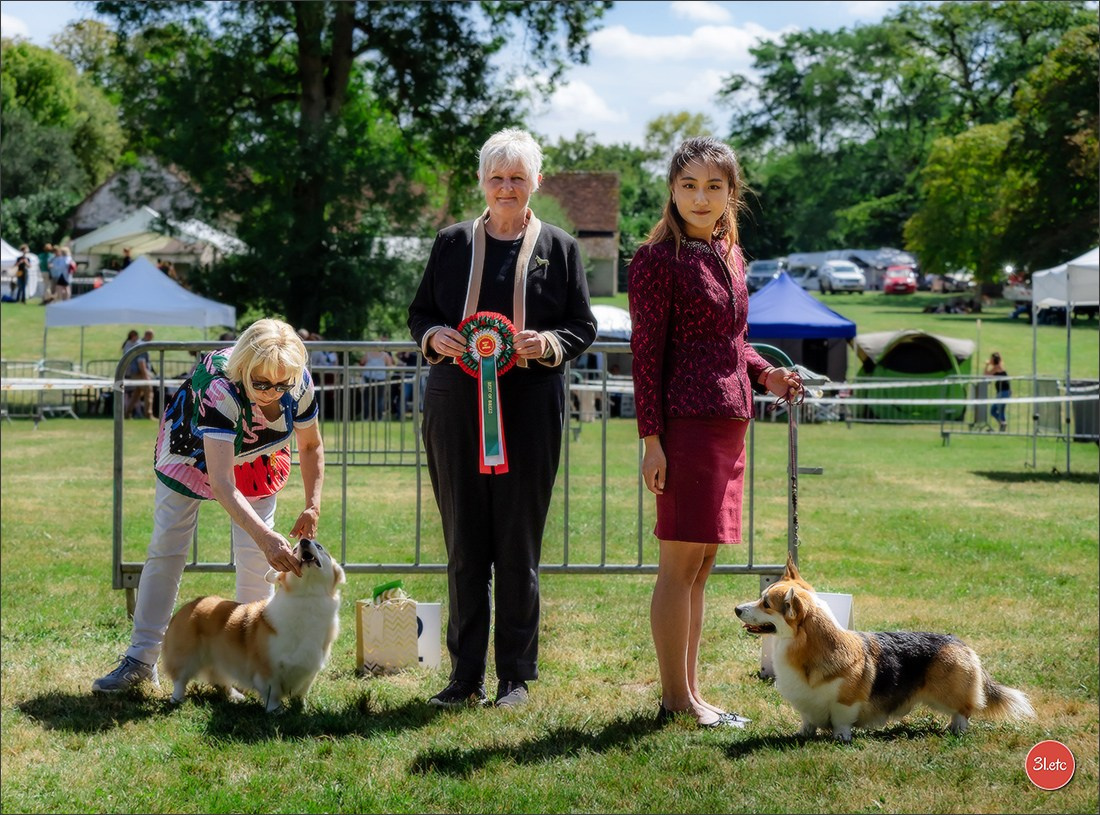 🇫🇷 Romorantin - Exposition Canine Nationale. Photographe à Strasbourg | Portraits, Studio, Enfants, Événements