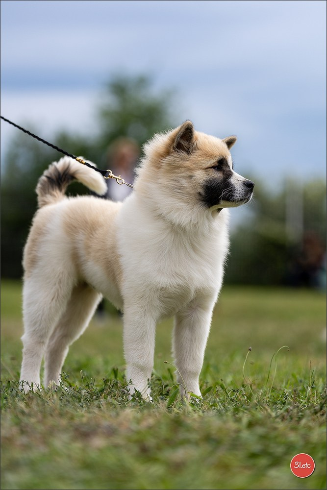 Expo canine 🇫🇷 Valence 02-03/05/2026