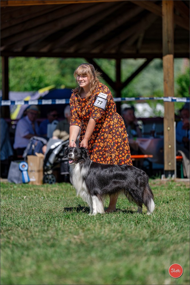 Dog Show - Hallbergmoos 🇩🇪 11-12/07/2026