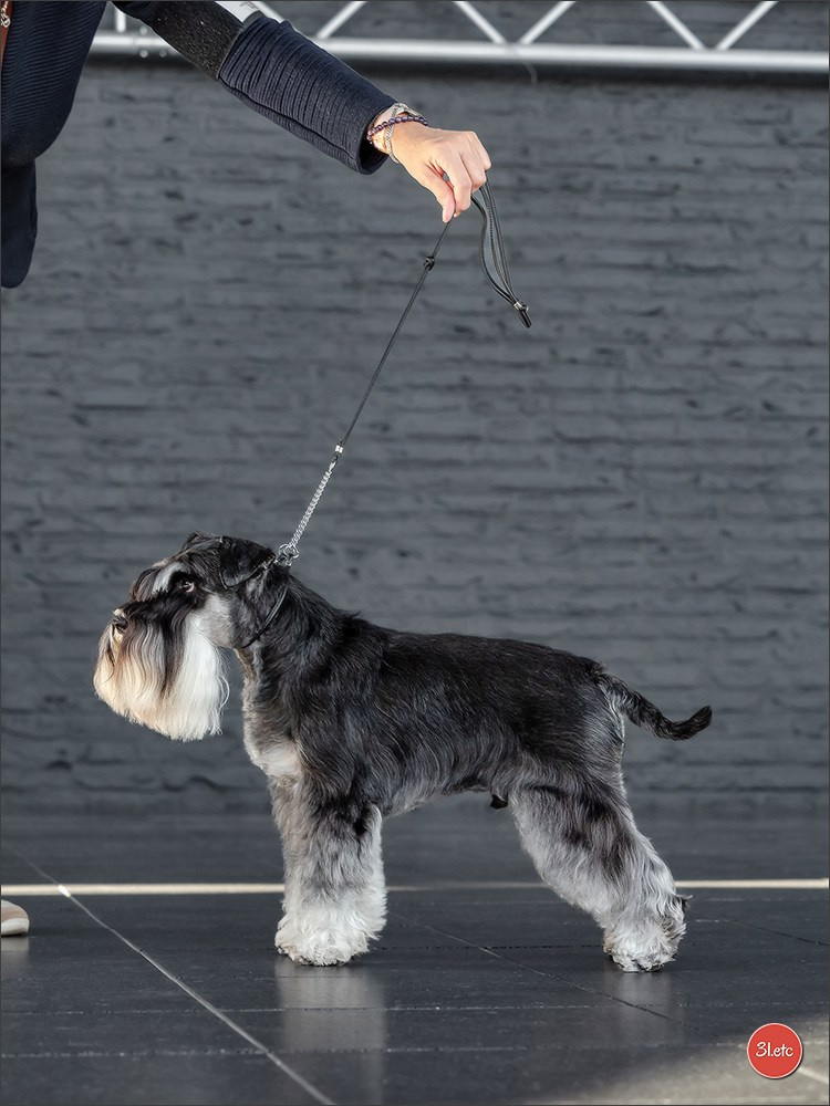 🇳🇱 IDS Maastricht 27/28 Sept 2025 🇳🇱. Photographe à Strasbourg | Portraits, Studio, Enfants, Événements