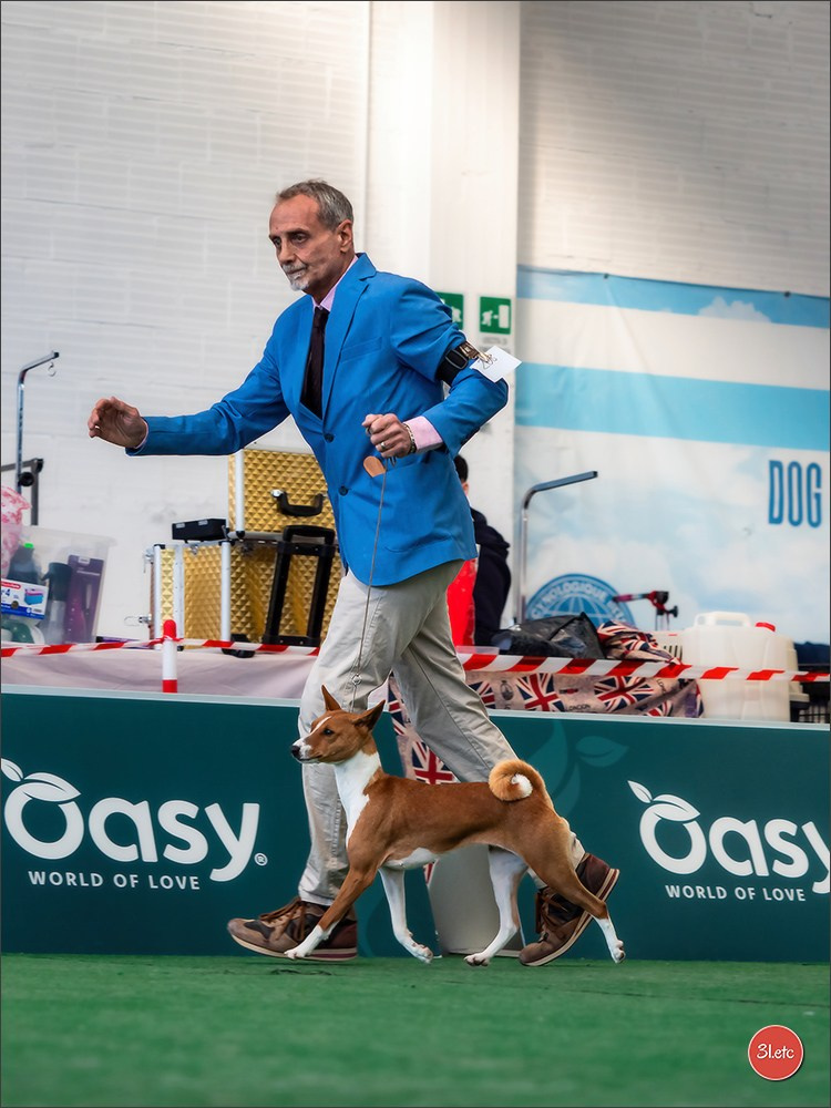Dog Show  🇮🇹  San Marino. Photographe à Strasbourg | Portraits, Studio, Enfants, Événements