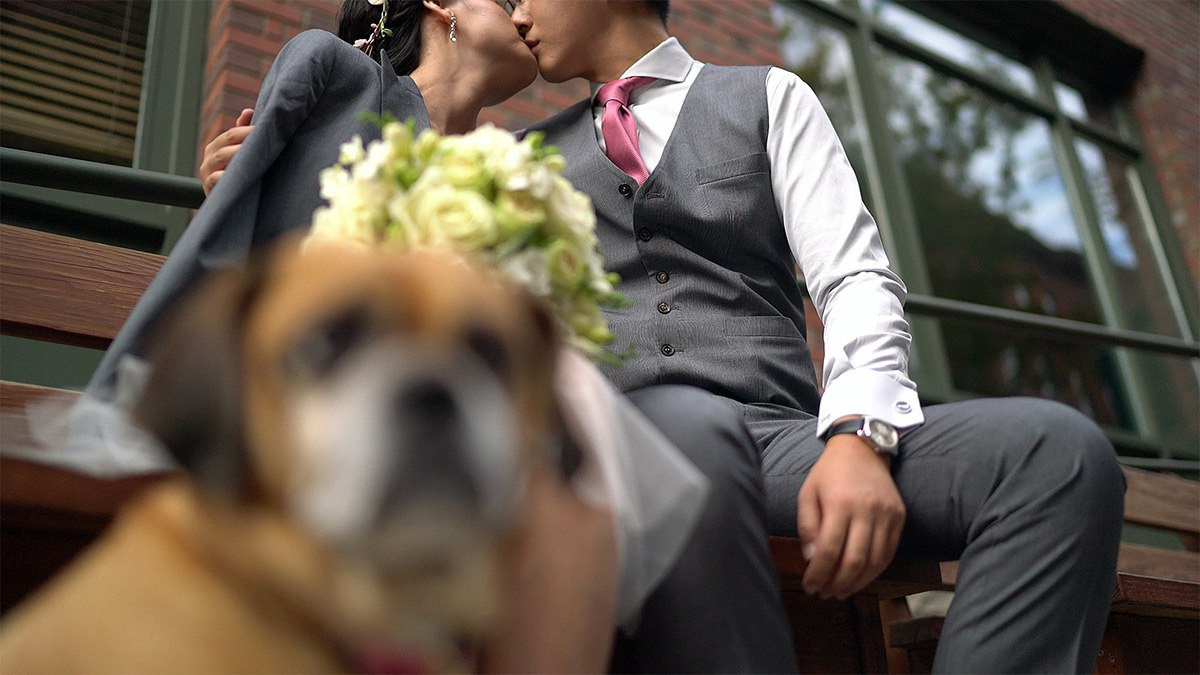 Coco and Shengzhe – October 17th, 2016. Emin Kuliyev — Award-Winning Wedding Photojournalist NYC & USA | Best Wedding Photographer Known for Candid, Timeless Moments