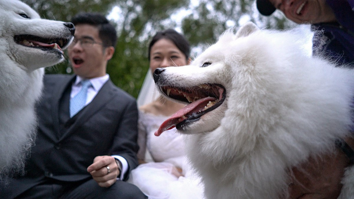 Zheqin &  Po – October 1st, 2016. Emin Kuliyev — Award-Winning Wedding Photojournalist NYC & USA | Best Wedding Photographer Known for Candid, Timeless Moments