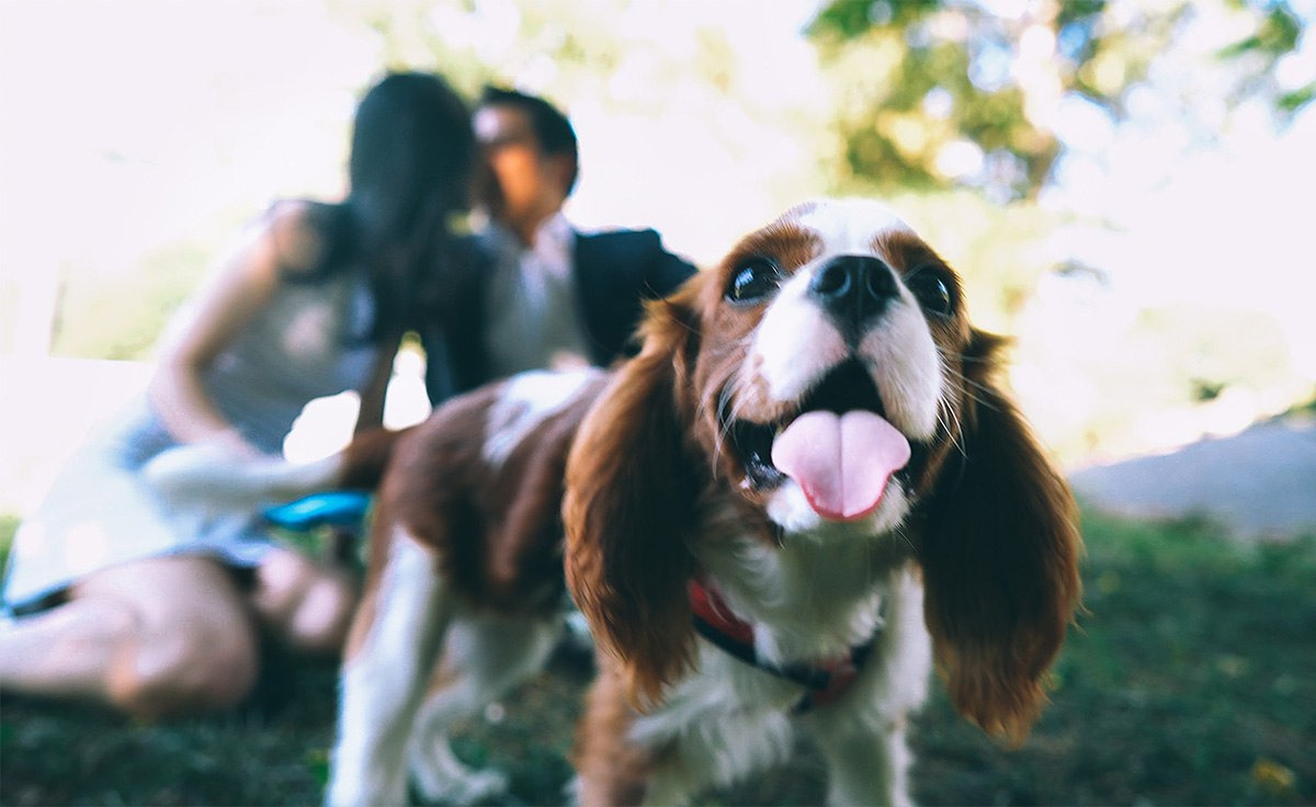 Fajian & Yingzi – 10.04.2017. Emin Kuliyev — Award-Winning Wedding Photojournalist NYC & USA | Best Wedding Photographer Known for Candid, Timeless Moments